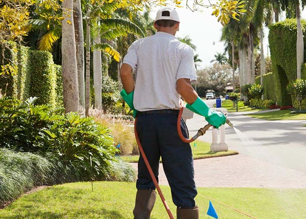 About Shreveport LA Pest Control